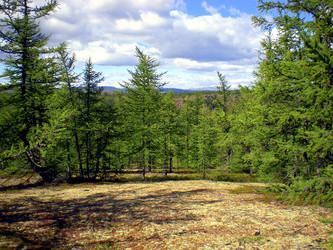 Similar image 1566950