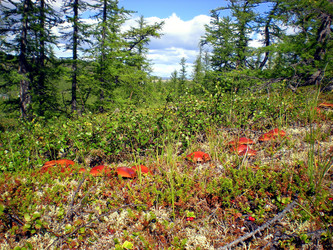 Similar image 1566951