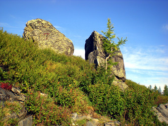 Similar image 1566952