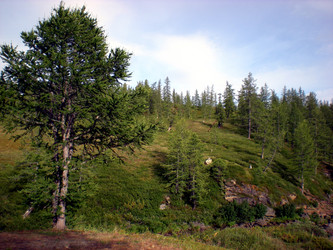 Similar image 1566958