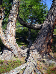 Similar image 1566965