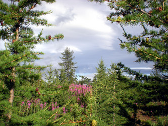 Similar image 1566967