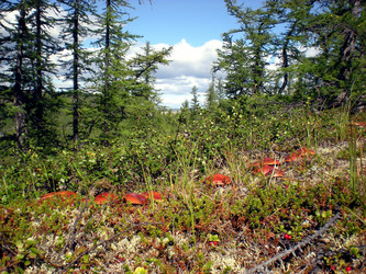 Similar image 1566970