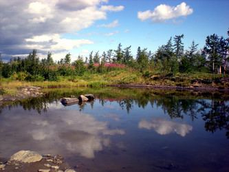 Similar image 1566972