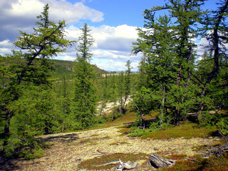 Similar image 1566973