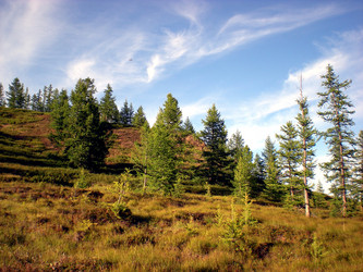 Similar image 1566977