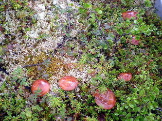 Similar image 1566989