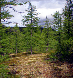 Similar image 1566990