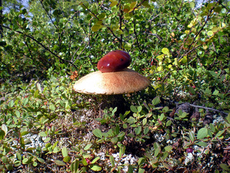 Similar image 1566992