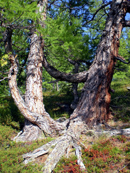 Similar image 1566996