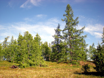 Similar image 1566998