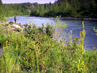 Similar image 1567000