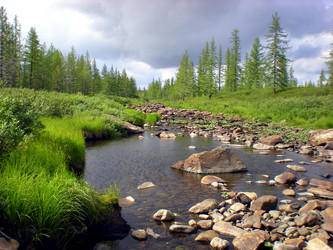 Similar image 1567005