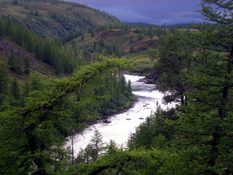 Similar image 1567015