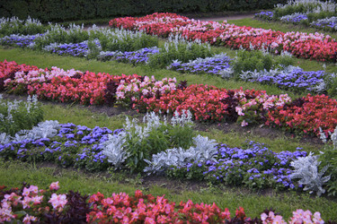 Similar image 1567020