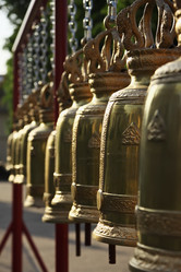 Similar image 1567051