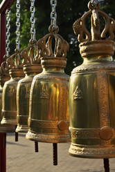 Similar image 1567053