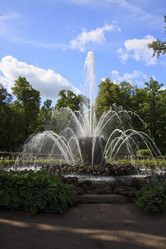 Similar image 1567063