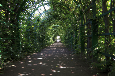 Similar image 1567076