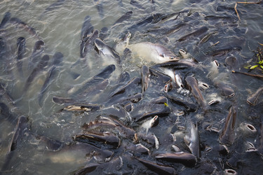 Similar image 1567126