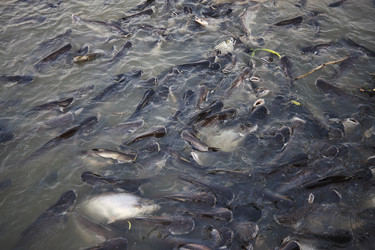 Similar image 1567131