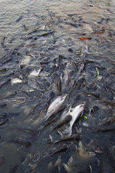 Similar image 1567133