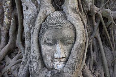 Similar image 1567189