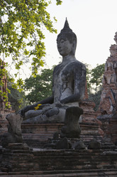 Similar image 1567228