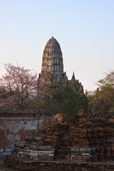 Similar image 1567230