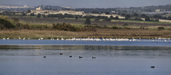 Similar image 1567240