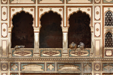 Similar image 1567245