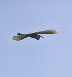 Similar image 1567246