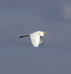 Similar image 1567252