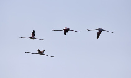 Similar image 1567258