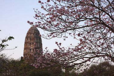 Similar image 1567271