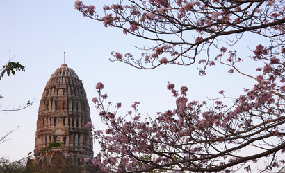 Similar image 1567272