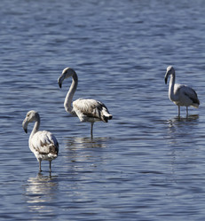 Similar image 1567277