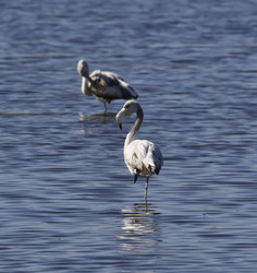 Similar image 1567284