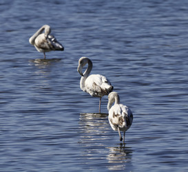 Similar image 1567294