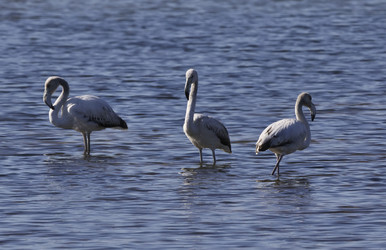 Similar image 1567302