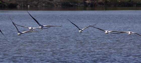 Similar image 1567304