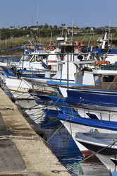 Similar image 1567311