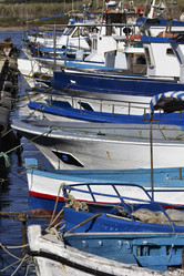 Similar image 1567319