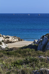 Similar image 1567342