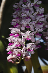 Similar image 1567356