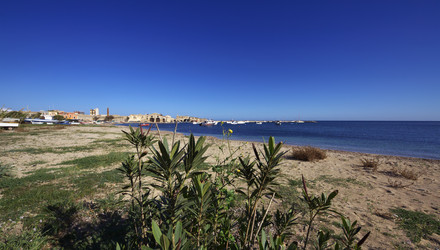 Similar image 1567359