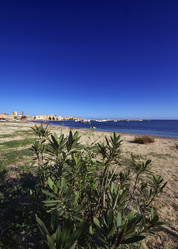 Similar image 1567360