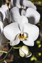 Similar image 1567361