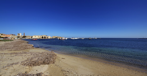 Similar image 1567362