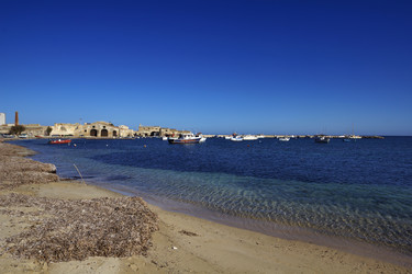 Similar image 1567363